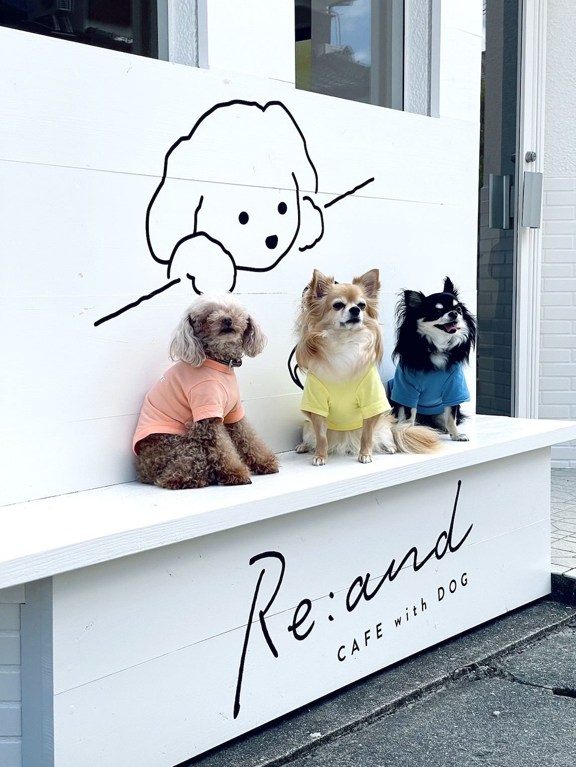 Re:and with DOG 内装